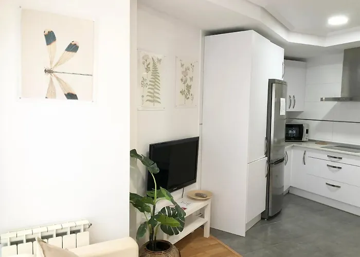 Apartamento 2 Centrico Garaje Wi-fi Para Trabajar 公寓 *