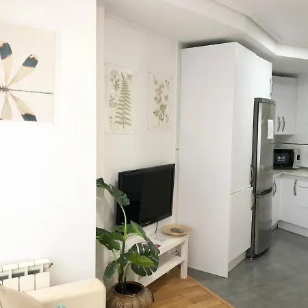 Apartamento 2 Centrico Garaje Wi-fi Para Trabajar דירה *