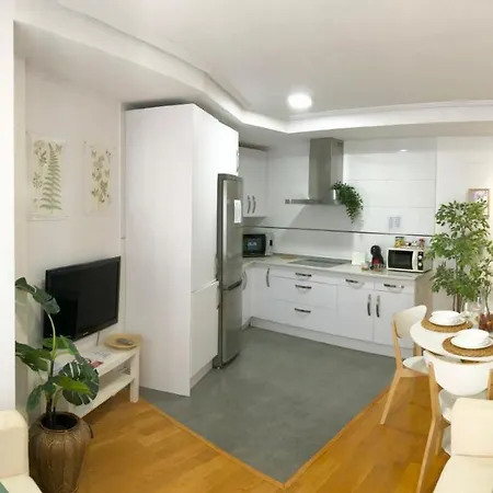 Apartamento 2 Centrico Garaje Wi-fi Para Trabajar דירה